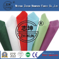 Customrized Colorful Nonwoven for Shopping Bag/Fashion Woman Bags